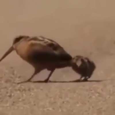 What's the name of this rock song? I'm trying to identify this song