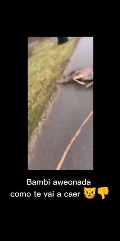 Bambi