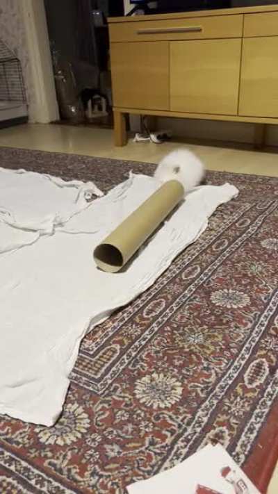 Is it a bunny, or is it a non-Newtonian liquid?