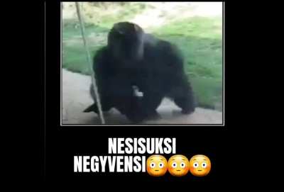 Tik rodom posūkį, ponas, pra&scaron;au😒🤚