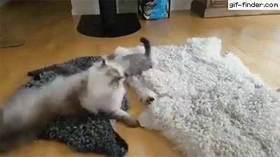 Watch out, little one, we're starting ninja training! Lesson One...
