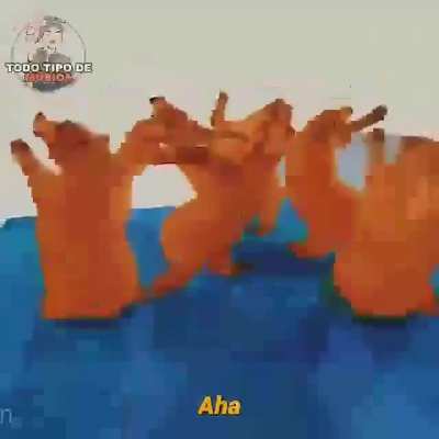 Choraste