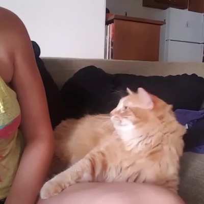 "Excuse me mom, why you stop pettin? You started this..."