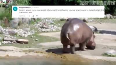 Her g&uuml;n bir deep turkish web video serisi #28.G&uuml;n