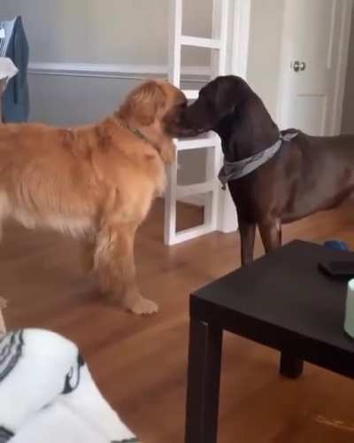 Playtime
