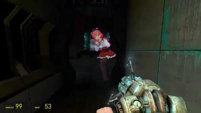 Elite ragdoll