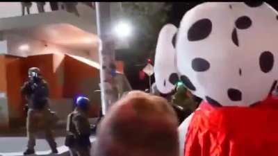 Portland, Oregon: ICE Agents Rip Clothes Off Woman, Drag Her Across Concrete Fully Exposed to Crowd