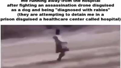 THEY WILL NEVER CATCH ME ALIVE