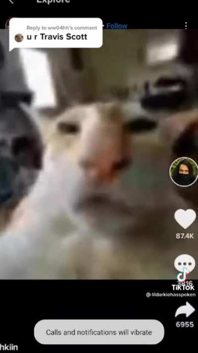 Trevor scat
