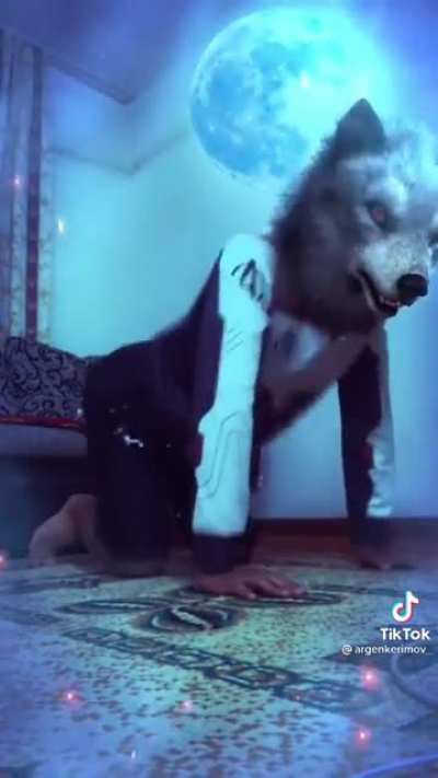 Wolves again