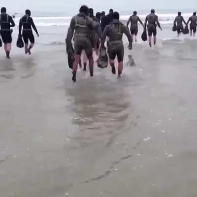 He just wants to be like the big seals and fit in