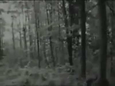 Shadow People in 1997, Emerson