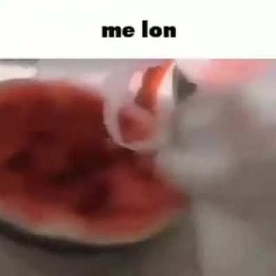 me lon