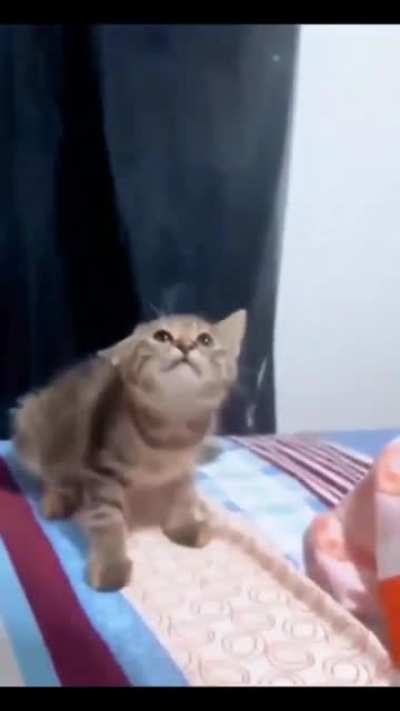 AAAAAAAAAA Button