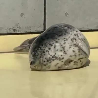 It&rsquo;s hard to get up in the morning when you look like a blob of cookie dough