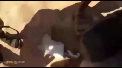 Houthi solider gets shot with his go pro