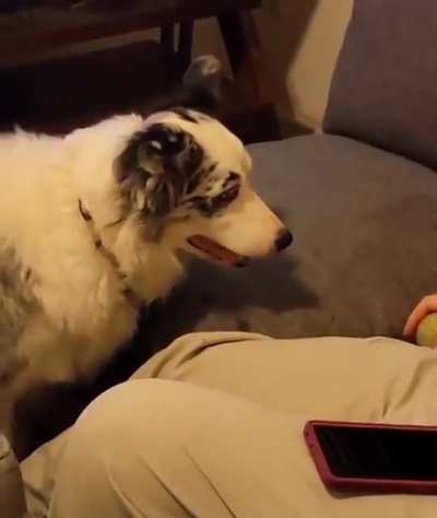 "He'll wake up soon and throw it..."
