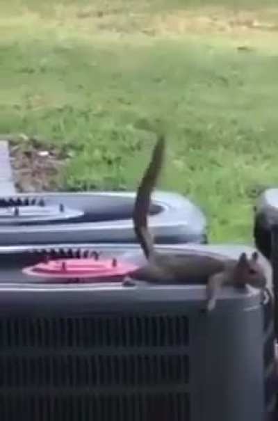 Maybe maybe maybe