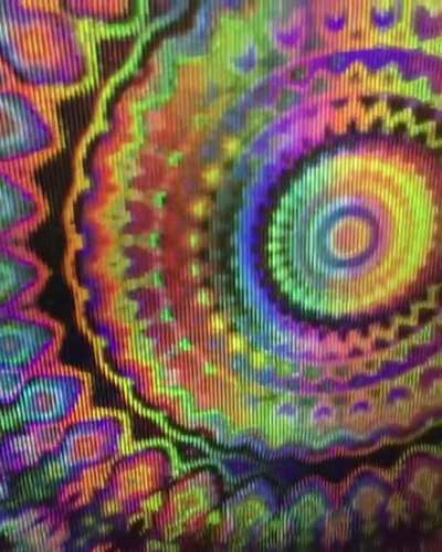 Look inside