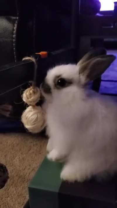Playtime