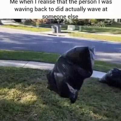 Someone wave at me pls?