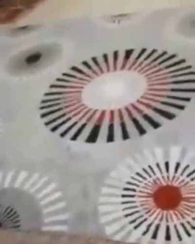 Amcam niye bu kadar sinirlendi?