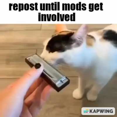 do it