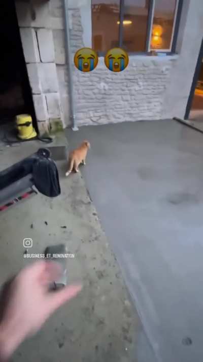I hope OP cleaned his beans