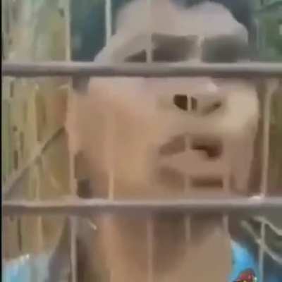 Sla mano fds