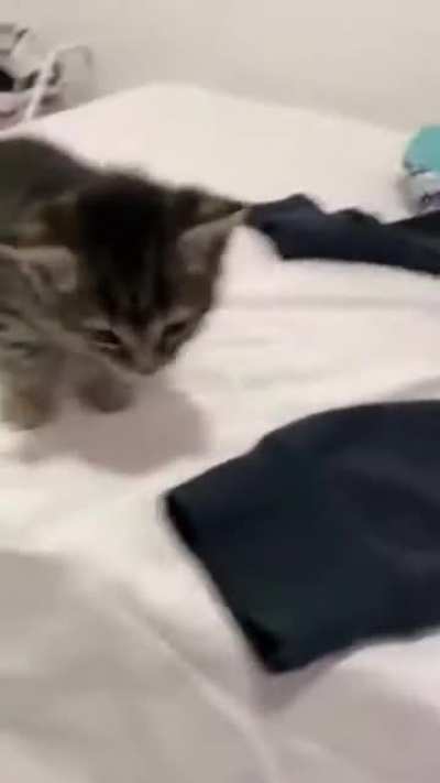 To jump Down