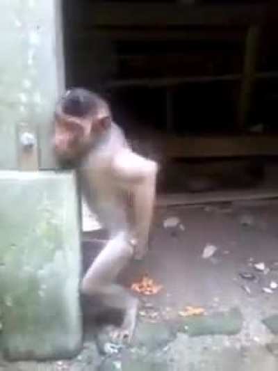 ma