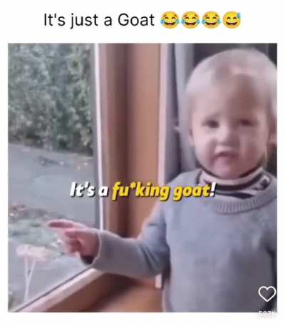 It&rsquo;s just a goat.. or is it?