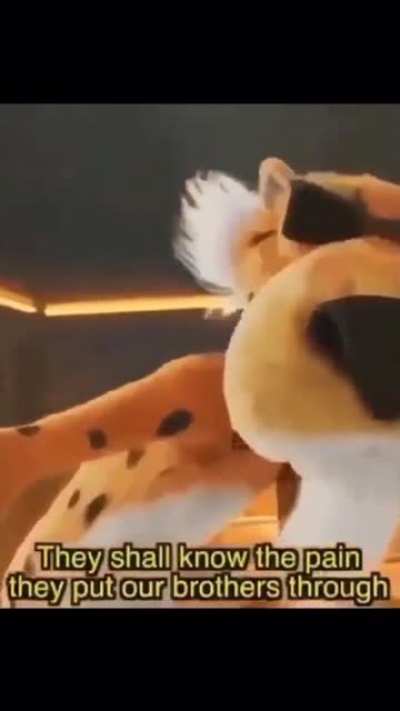 Rule 1