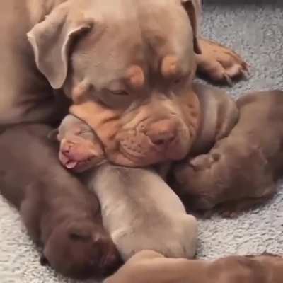Proud Parent
