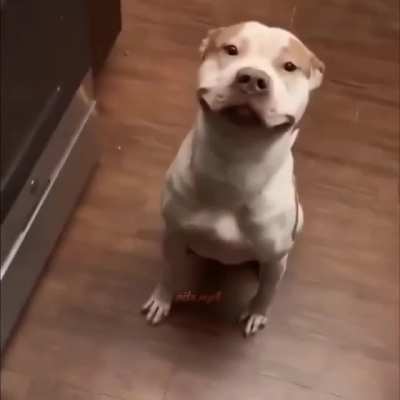 Esta asi 0_0