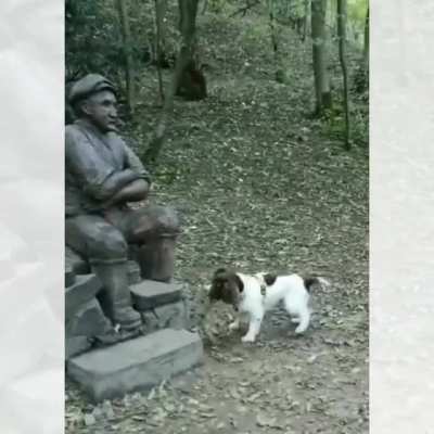 Come on man! Play with me..