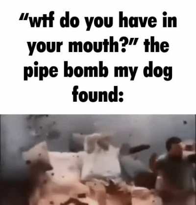 good boy