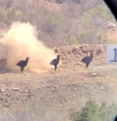 Shooting at 385m