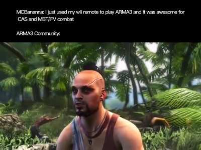 Me: uses Wii remote on Arma3. Arma3 community: