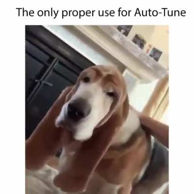 T-pain would be proud