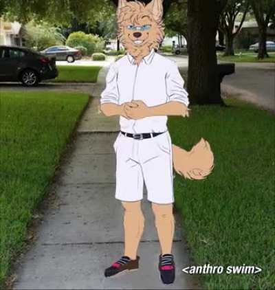 furry_irl