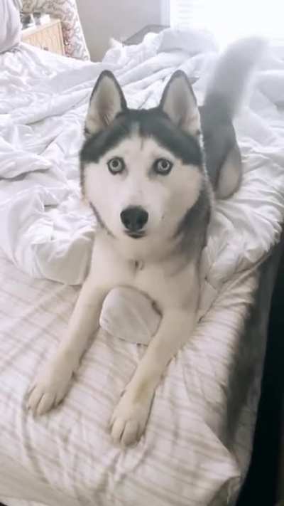 Would you like to go for... a walk