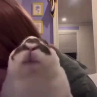 Don&rsquo;t let Corey see this