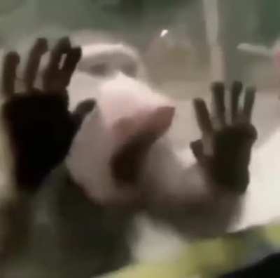 NoOoOOOoOOOOo
