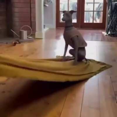 I think its name is Zoom