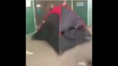 blursed_coat