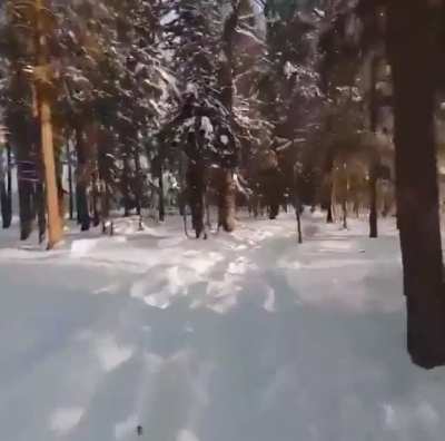 Drone to the rescue.
