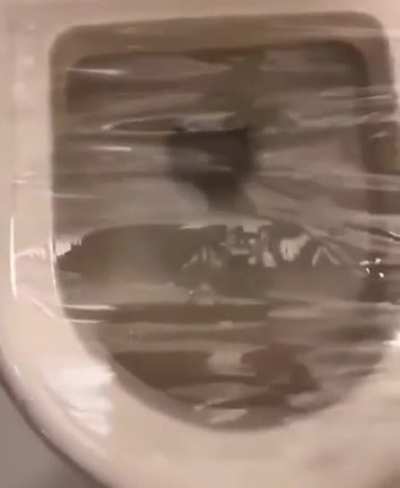 Toilet time