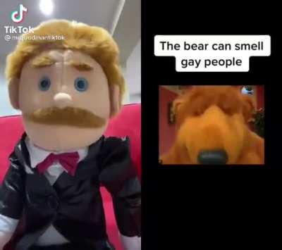 The Bear Can Do What Now?!