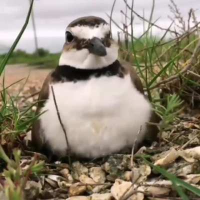 Me, sitting on the toilet and trying to get perfectly centered